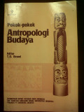 Pokok-pokok antropologi budaya